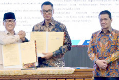 Perkuat Pemanfaatan Listrik, Dongkrak Kemandirian Desa