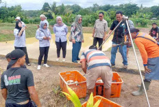 Kelompak Pembudidaya  Ikan Panen Besar