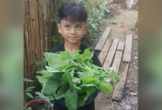 Ajarkan Anak Berkebun Sejak Dini, Tanam Sayuran di Rumah