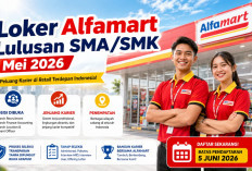Loker Alfamart Lulusan SMA/SMK Mei 2026, Simak Posisi dan Cara Daftarnya