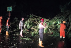 Hujan Deras dan Angin Kencang Landa Kota Sekayu, Kios dan Rumah Warga Terluka Parah