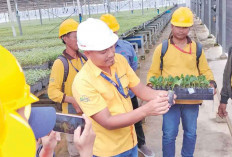 Komitmen Kelola HTI Berkelanjutan, Tiga Perusahaan Pemasok APP Group