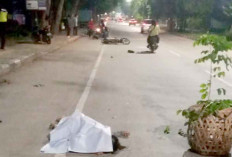 Kecelakaan Maut, Dua Pemotor Tewas