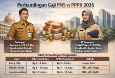 Perbedaan Gaji PNS dan PPPK 2026: Struktur, Kenaikan, hingga Total Penghasilan