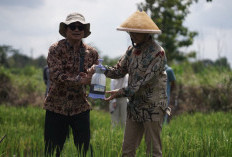 PTBA dan UGM Hadirkan Kalium Humat dari Hilirisasi Batu Bara untuk Dukung Swasembada Pangan Nasional