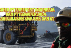 Perusahaan Tambang PT Freeport dan PT PAMA Membuka Loker Bagi Lulusan SMA dan S1