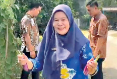 Bawa Pulang Terong Ungu Hasil Kebun 