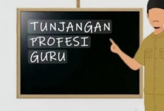 Tunjangan Sertifikasi Guru Triwulan 1 Tahun 2025 Belum Cair, Ini Penyebabnya