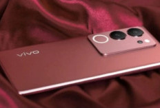 Budget Tipis? Ini 5 HP Vivo Murah di Bawah Rp2 Juta Paling Worth It 2026 RAM Lega, Baterai Jumbo, Kamera Tajam