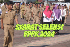 Seleksi PPPK untuk Honorer Buka September, Berikut Syarat dan Tahapannya