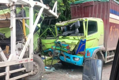 Dua Truk Tabrakan, Jalintim Macet Panjang