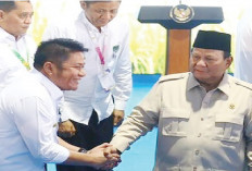 Gemilan Sektor Pertanian Hingga Tekan Kemiskinan, Prestasi HDCU Pemimpin Sumsel