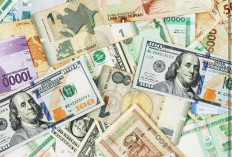 Dolar Melejit, Rupiah Tertekan! Ini Cara Aman Selamatkan Uang Anda