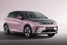 BYD Dolphin: “Lumba-Lumba” Listrik yang Lincah, Canggih, dan Ramah Lingkungan