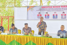  Susah Buka Lahan-Sulit Dapat Bibit Karet Berkualitas 