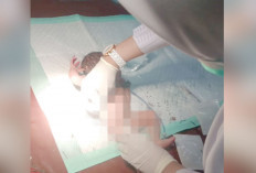 Tega, Bayi Malang Ini Dibuang ke Semak-Semak, Baru Lahir dan Ditemukan Tali Pusar