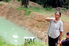 Orang Tua Sibuk Bekerja di Perkebunan Kelapa Sawit, Balita Tenggelam di Kolam Retensi 