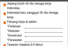Banyak Warga Sumsel Minat Kerja ke Jepang, Menaker: Dibutuhkan 40 Ribu Tenaga Kerja Asal Indonesia