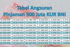 Pinjaman 500 Juta Tanpa Agunan dari Bank BNI: Solusi Finansial Praktis untuk Anda