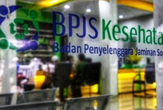 BPJS Kesehatan Buka Lowongan Kerja Administrasi, Daftar Sesuai Domisili, Segera Lamar Yuk!