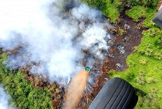 3 Hektare Lahan Semak di Muratara Terbakar, Upaya Pemadaman Dilakukan dari Udara