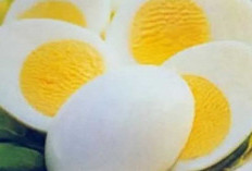 Apakah Aman Makan Telur Setiap Hari? Ini 6 Manfaatnya untuk Kesehatan!