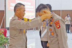 Miliki Keterampilan Bela Diri hingga Teknik Pengawalan