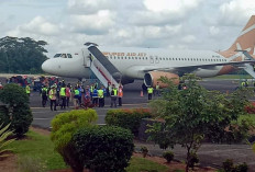 Bandara Silampari Padat, Jalinsum Muratara Rawan Kecelakaan Akibat Hewan Ternak Berkeliaran, Ini Kata Kapolres