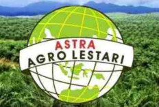 Kabar Baik, Lur! PT Astra Agro Lestari Buka Loker Posisi Planter Development Program, Ini Kualifikasinya!