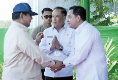 Bangga! Kabupaten Banyuasin Jadi Pilot Project Launching Gerina di Sumsel