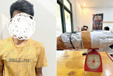  Pengedar Ganja Diciduk, Tak Berkutik saat Ditemukan Barang Bukti 1,3 kg Ganja