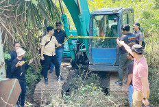 Perintah Presiden, Tindak Tambang Ilegal! Polda Gerebek Lokasi Batu bara Liar di Muara Enim