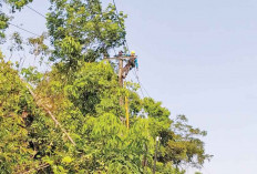 4 Jam Listrik Padam, Pelayanan  Capil Terganggu