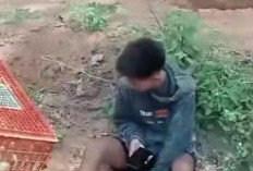 Penjual Ayam Dibegal Saat Hendak Antar Pesanan di Jalan Poros Kertamukti–Bumi Makmur