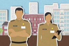 Ingin Kerja di Instansi Pemerintahan? Berikut 10 Jurusan Kuliah Memiliki Peluang Lebih Besar di Pemerintah