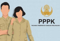 4.564 Calon PPPK PW OKI Bakal Dilantik