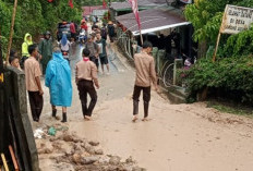 Bencana Longsor Timbun Sawah dan Kolam Warga di Desa Karang Endah, Kecamatan Kota Agung, Lahat