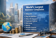 List of the Largest Financial Insurance Companies in the World That Provide Great Benefits for Customers