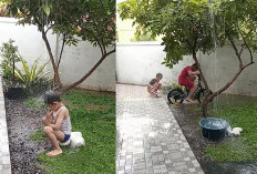 Apakah Mandi Air Hujan Baik untuk Kesehatan? Ini Manfaat dan Risikonya