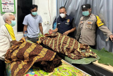 Pilu, Nenek dan Cucu di Musi Rawas Tewas Terjebak Kobaran Api, Ini Kronologisnya