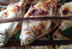Rasakan Sensasi Bakar Bambu Ikan Sepit, Kuliner Khas Lahat yang Menggugah Selera