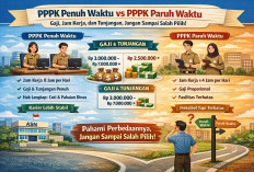 PPPK Penuh Waktu vs PPPK Paruh Waktu: Gaji, Jam Kerja, dan Tunjangan, Jangan Sampai Keliru Menentukan Arah