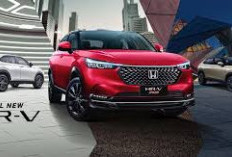 Rekomendasi Mobil yang Cocok bagi Wanita Muda