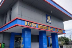 Pendaftaran PPNPN 2025 di Kantor Imigrasi Kendari, Jangan Lewatkan Kesempatan Karir Menarik Ini!