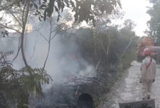 Antisipasi Karhutla, BPBD OKU Perkuat Kesiapsiagaan hingga Tingkat Desa