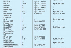 Makan Minum 24 OPD Sedot Miliaran Rupiah, Ratusan Paket dalam APBD Banyuasin 2025 