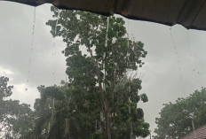 Cuaca Sumsel Sabtu 6 Desember 2025. Dilanda Hujan Lebat Disertai Petir Siang-Sore, Warga Diminta Waspada