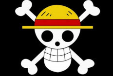 One Piece Adalah Simbol Perlawanan, Bagindo Togar Peringatkan Bahaya Revolusi Sosial