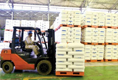 Polytam, Produk Petrokimia Unggulan, Dorong Kemandirian Industri Nasional