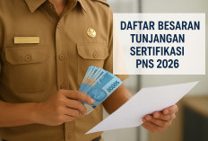 Daftar Besaran Tunjangan Sertifikasi PNS 2026